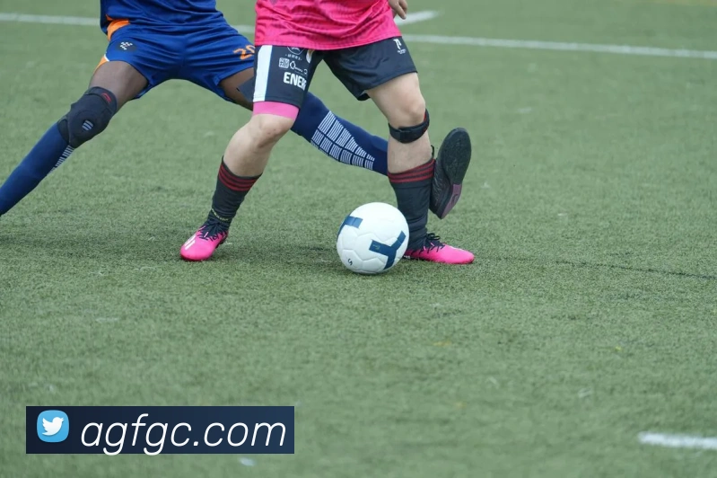 ag官网APP 封面图